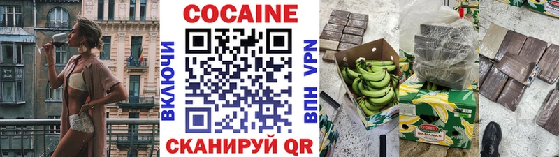 Кокаин FishScale  купить  цена  Ефремов 