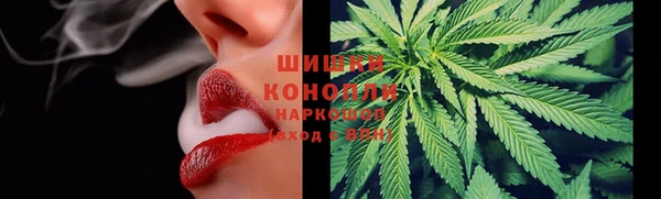 дурь Алзамай