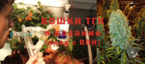 дурь Алзамай