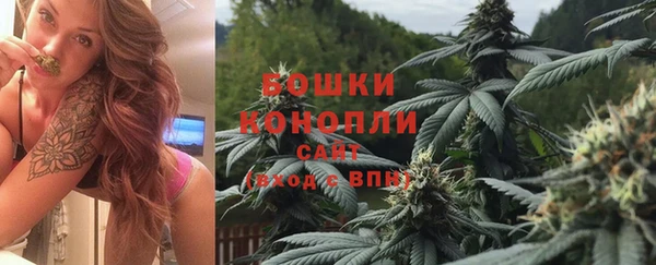 мдпв Рославль