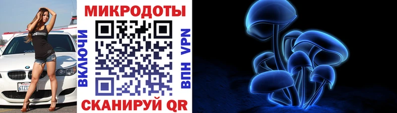 цены наркотик  Ефремов  Галлюциногенные грибы Psilocybe 